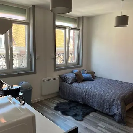 Studio Avec Parking Gratuit En Centre Ville Apartment Conde-sur-l'Escaut